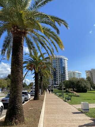 Апартаменты Black&White Apartment Tre Canne Будва Апартаменты с 1 спальней-3